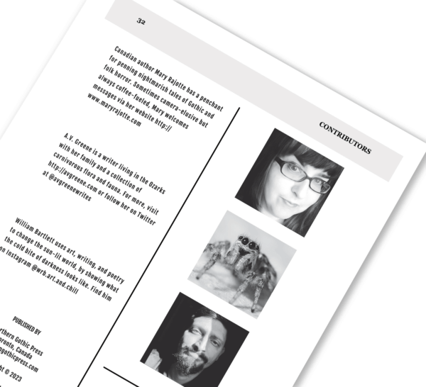 Frightmarish Zine - Issue 5 - Print - Image 6