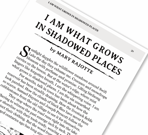 Frightmarish Zine - Issue 6 - Print - Image 7
