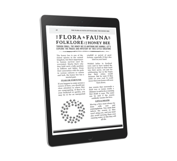 Frightmarish Zine - Issue 8 - Digital - Image 4