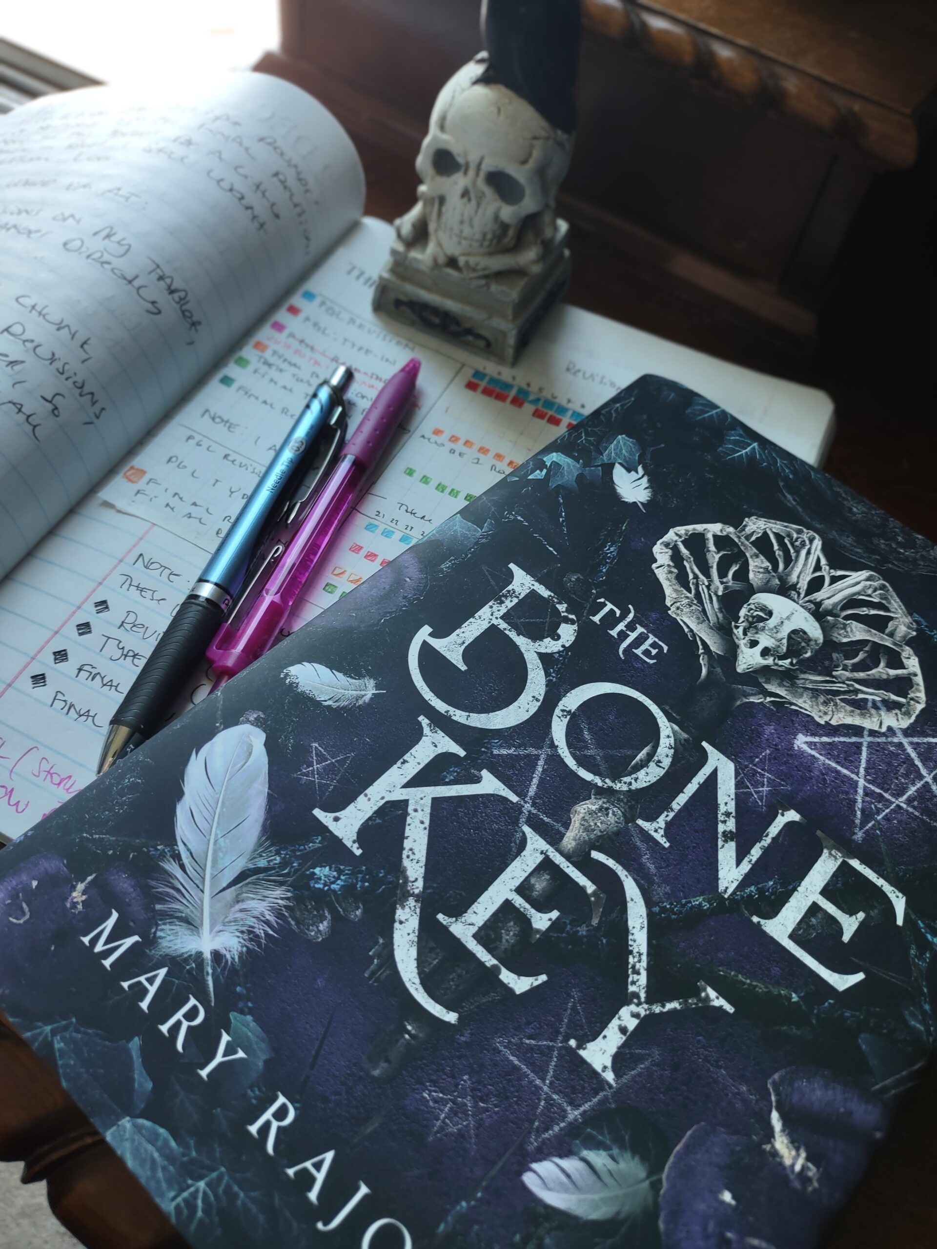 Hardcover book of The Bone Key by mary Rajotte beside a composition book with black handwritten notes