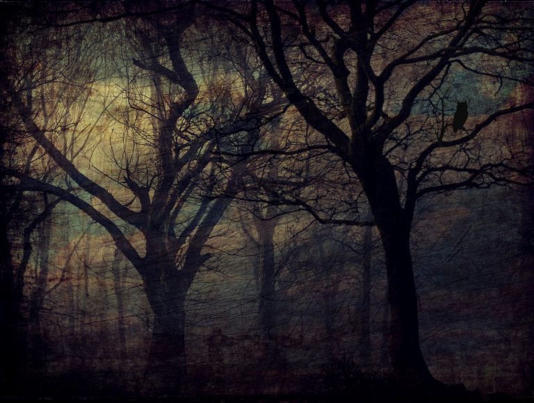 NOTES FROM THE WRITING NOOK: April 2020