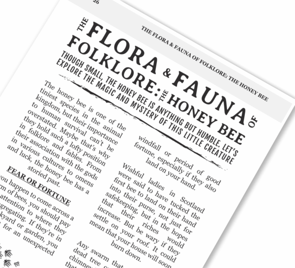 Frightmarish Zine - Issue 8 - Print - Image 4