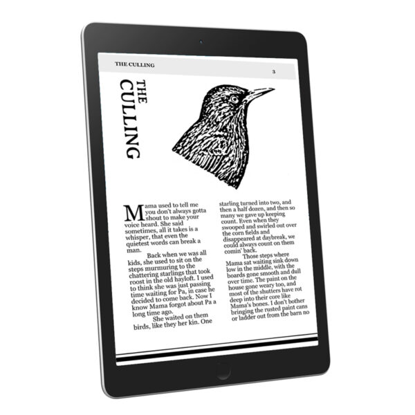 Frightmarish Zine - 2022 Digital Subscription - Image 2