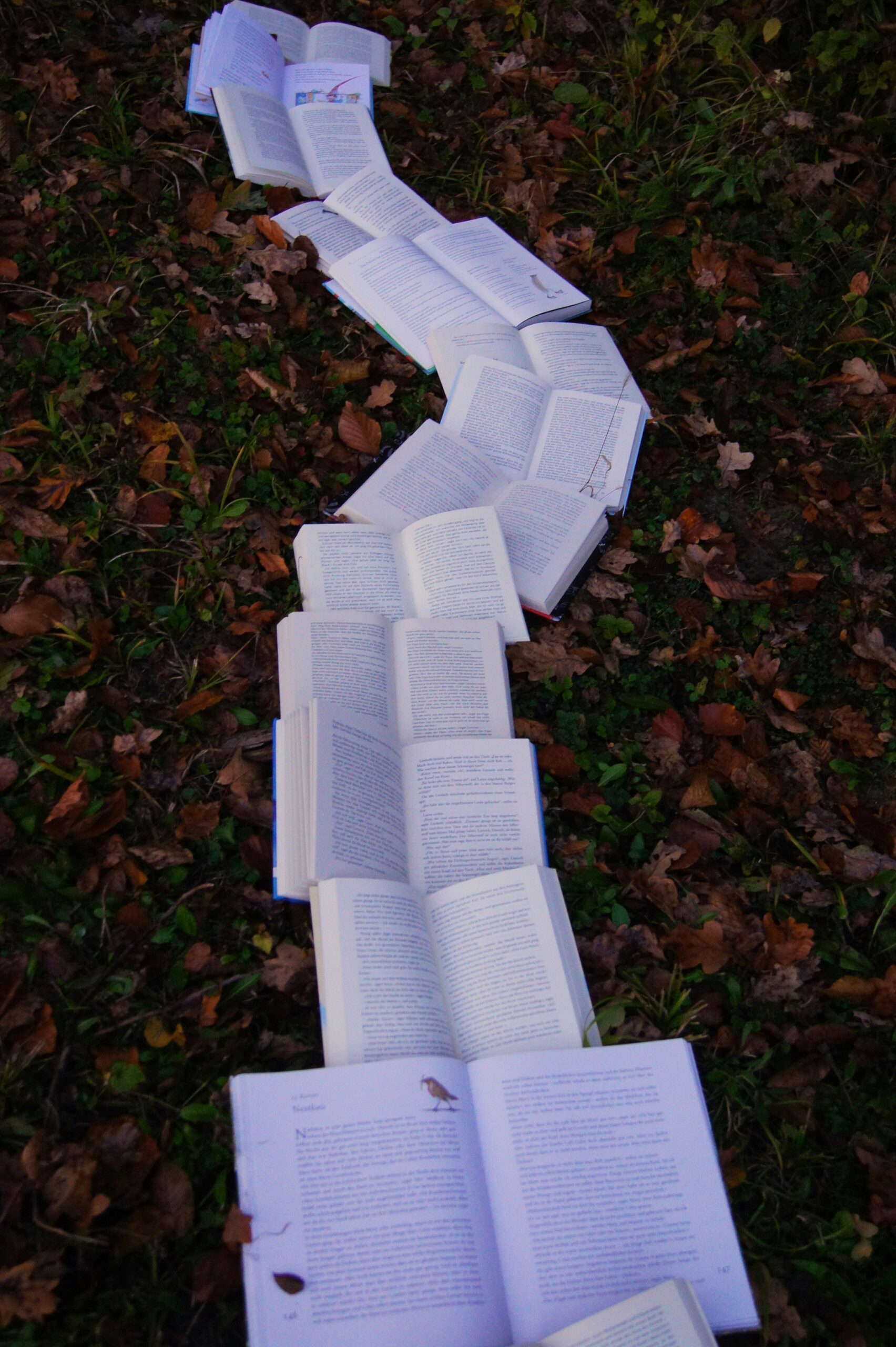 A long line of open books stretching vertically away from the observer's viewpoint, made to look like a pathway