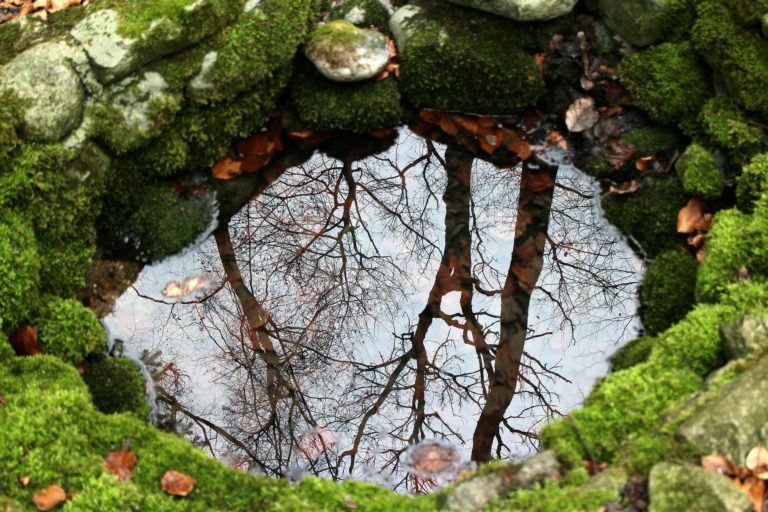 Refilling the Well