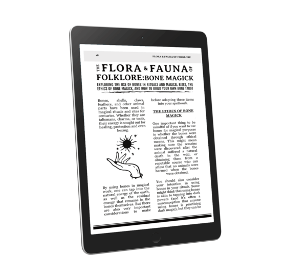 Frightmarish Zine - Issue 7 - Digital - Image 4