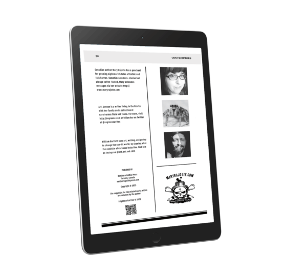 Frightmarish Zine - Issue 5 - Digital - Image 6