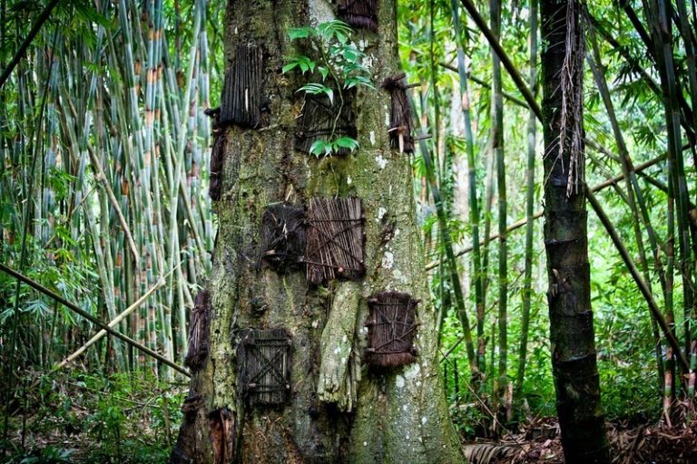 BREEDING GROUND: Unique Burial Practices of The World